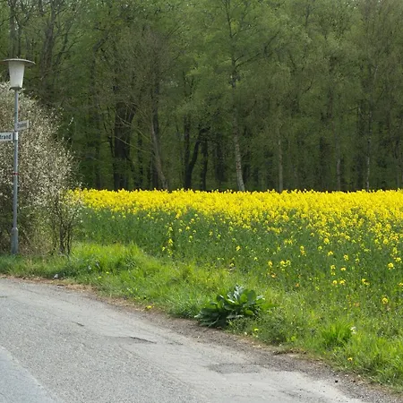 Schleiharmonie Ulsnis